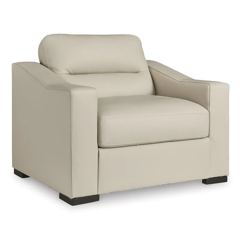 Signature Design by Ashley Treasure Trove 1930423 Chair and a Half