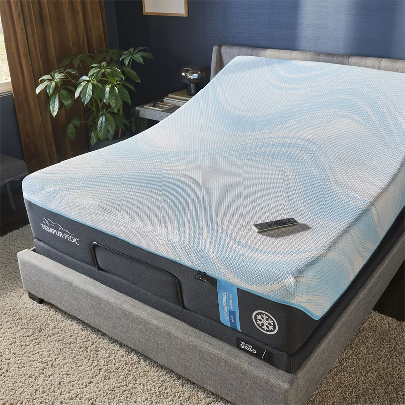 TEMPUR-Ergo Power Base 3.0 - Adjustable Lumbar Support & Zero Gravity