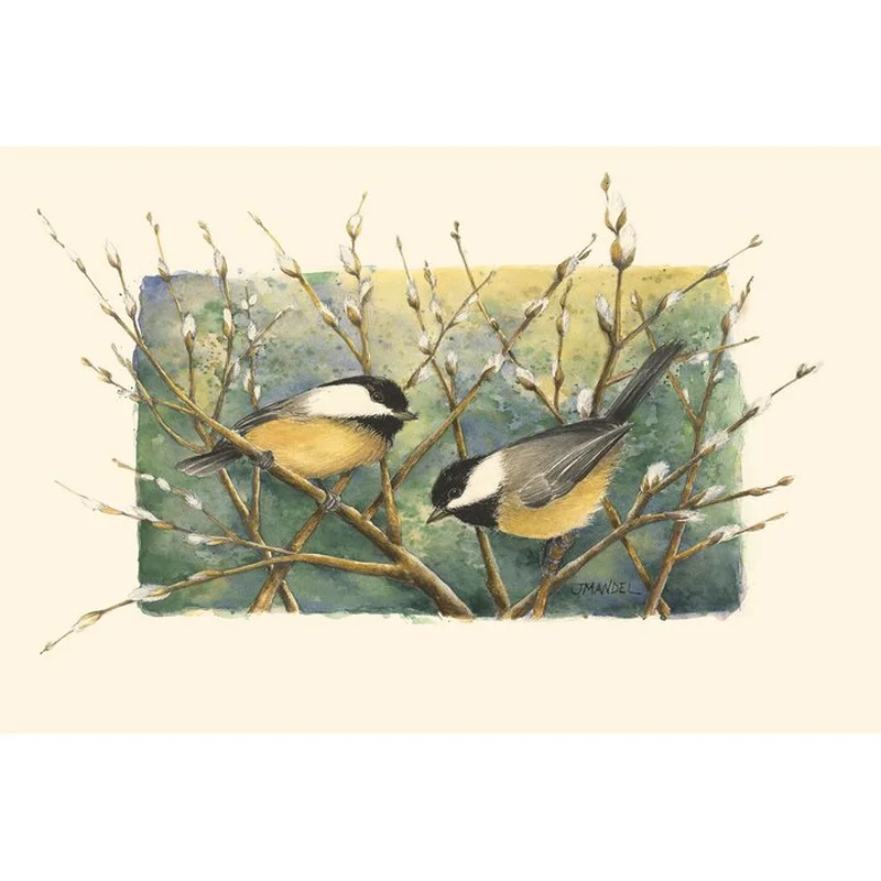 Chickadees And Pussy Willow - Wrapped Canvas Painting 12" H x 18" W x 1.25" D