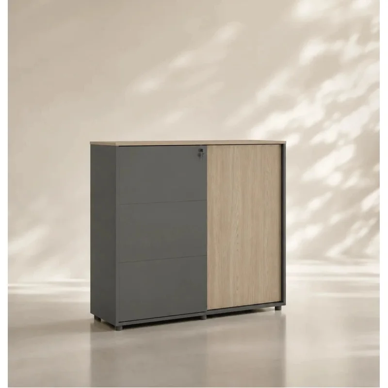 Universal 3-Level Sliding Door Cabinet (Meteor Grey Body)