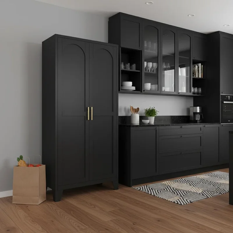 71 Black Stainless Steel Pantry Or Storage Closet With Arched Panel Doors
